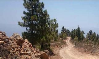 Finca rústica en Arico. Arico (santa cruz de tenerife). paraje cuesta tamadaya. polígono