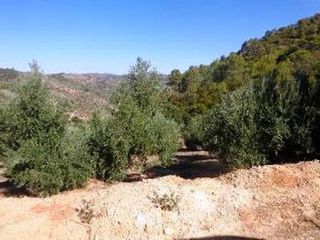 Rural plot in Villanueva del Arzobispo. Villanueva del arzobispo (jaén). paraje parrilla, el conde y nat