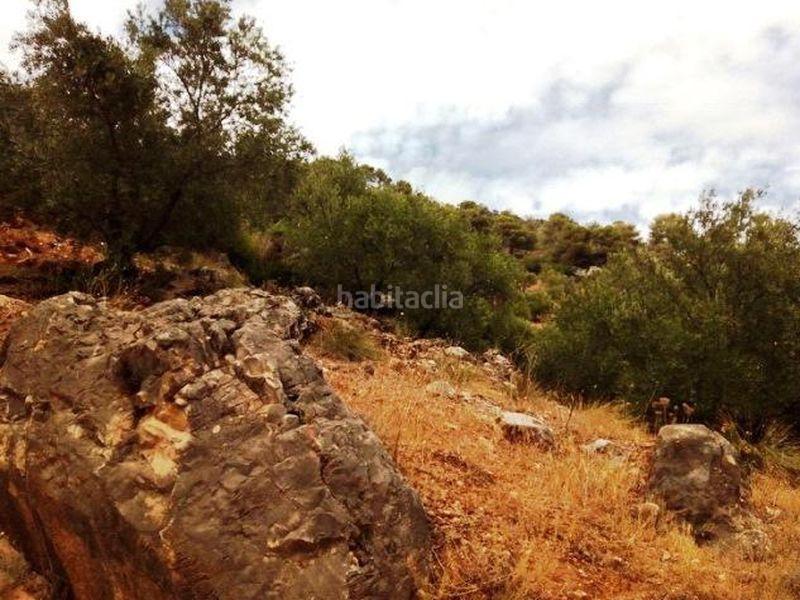 Foto 059ede08-aab1-44db-a639-9d290c7e9452. Finca rústica (jaén). paraje la muela. polígono 36. en Villacarrillo
