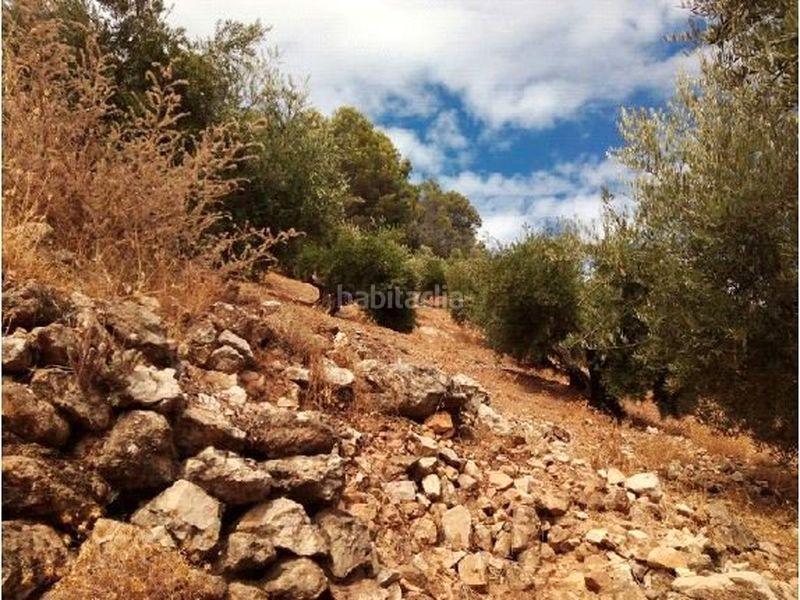 Foto 26f3d9ee-42f1-4439-bacd-7041a4f9fec0. Finca rústica (jaén). paraje la muela. polígono 36. en Villacarrillo