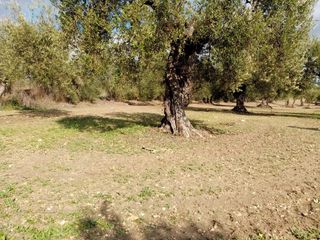 Finca rústica a N/A
