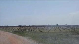 Propriété à Mota del Cuervo. Mota del cuervo (cuenca). paraje oavalengua.