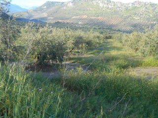 Finca rústica a Priego de Córdoba. Priego de córdoba (córdoba).