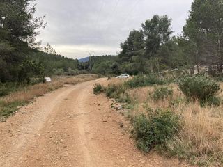 Finca rústica a Fanzara. Fanzara (castellón). paraje artida gamellones, chirlan y losas o