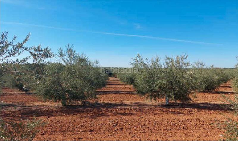 Foto a535cee4-44ee-4033-8f8f-673d1748c0b9. Finca rústica a Arahal