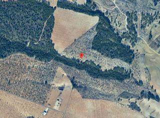 Finca rústica a La Tova. Lorca (murcia ). sin posesión “ocupado” (no se puede visitar ni