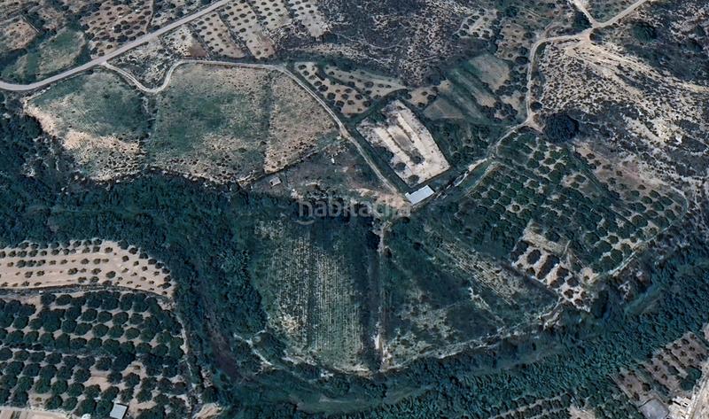 Foto 41a185a8-ace5-4ee9-8af7-7e30b34d0a2a. Finca rústica a Cehegín