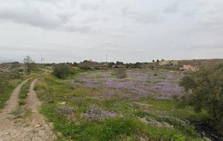 Finca rústica en Cehegín. Cehegín ( murcia ) paraje el escobar. partido del ribazo.