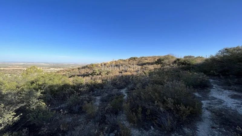 Foto 0a2cd962-1428-4246-8c3a-e55d9c35c655. Finca rústica a Osuna
