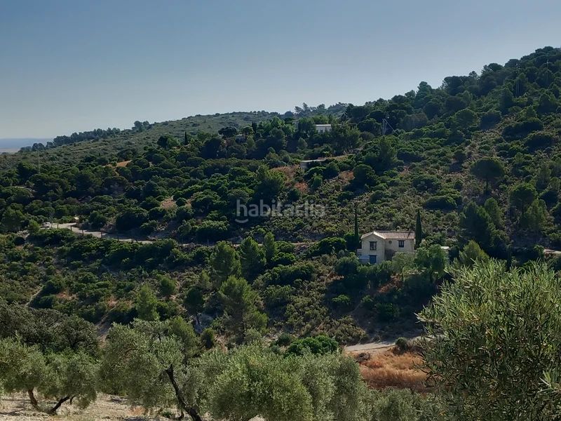 Foto 4c21704a-cd16-428c-ae03-dd329803eb45. Finca rústica a Osuna