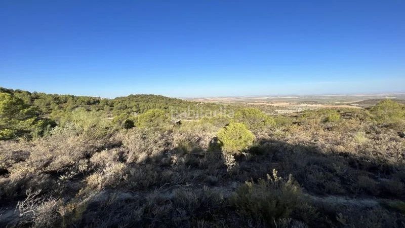 Foto 4e880325-6b81-4440-8d28-ba52b0b26582. Finca rústica a Osuna