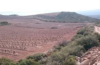 Finca rústica a Navarrete. Navarrete (rioja, la). paraje boqueras alta