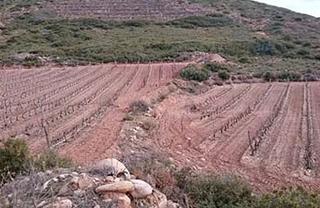 Propriété à Navarrete. Navarrete (rioja, la). paraje boqueras alta