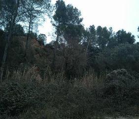 Rural plot in Viladecavalls. Viladecavalls (barcelona).