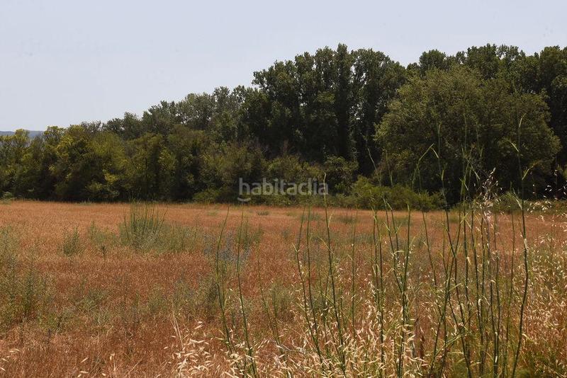 Foto 240565e9-5f44-4d9a-bb94-f7275ac91c33. Finca rústica a Lliçà de Vall