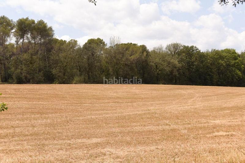 Foto df99a473-c18e-4814-bd0d-272742ef9f42. Finca rústica a Lliçà de Vall