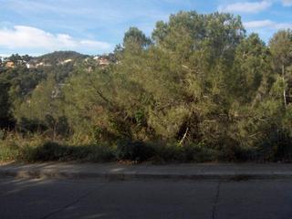 Terreny residencial a Ametlla del Vallès (L´). L´ametlla del vallès (barcelona). c/ albéniz.