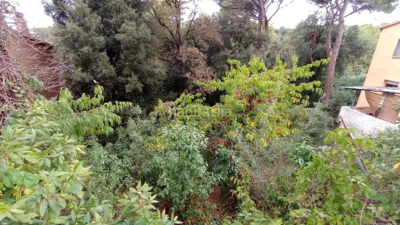 Foto d70200cf-c7ec-4d22-8ac8-d5371b4e3891. Wohngrundstück in Can Massuet del Far Dosrius