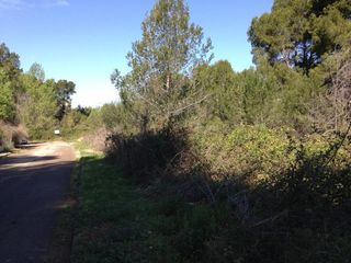 Terreno residencial  Carrer cirerer. Piera (barcelona). c/ cirerer, 30 (urb. can claramunt).
