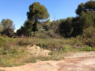 Terreny residencial  Carrer cirerer. Piera (barcelona). c/ cirerer, 30 (urb. can claramunt).