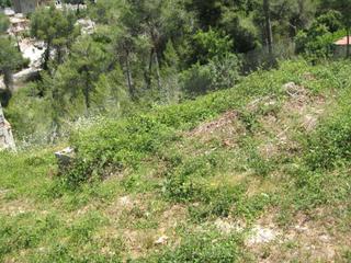 Terrain résidentiel  Avinguda olesa de bonesvalls. Vallirana (barcelona). avda. olesa de bonesvalls, 26 (plà del pe