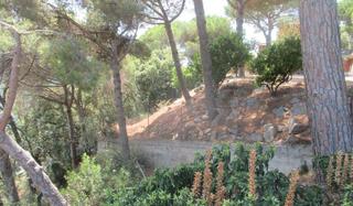 Terreny residencial  Carrer tibidabo. Dosrius (barcelona). c/ tibidabo, 4 (can massuet del far i el fa