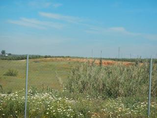 Finca rústica  A-460. Guillena (sevilla). paraje "el cañuelo".