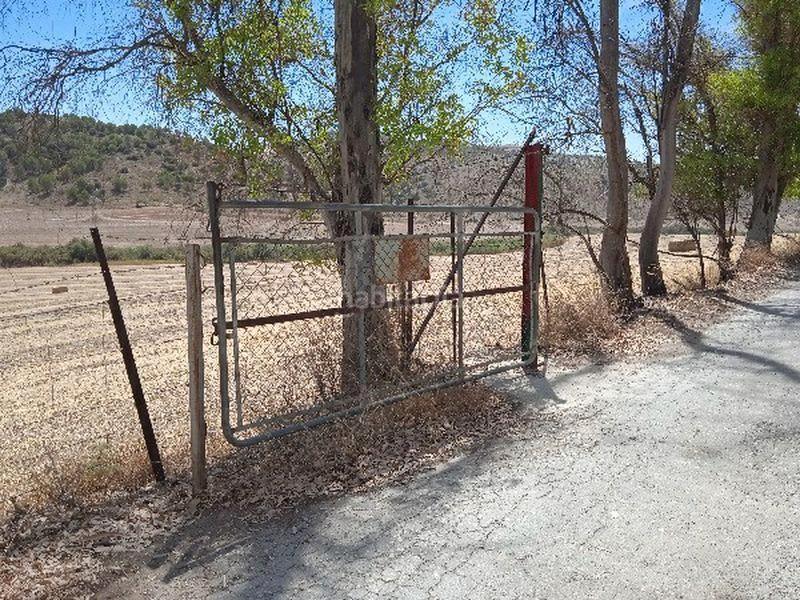 Foto 0f055d31-db3d-40bf-b949-2c319c4c19fe. Finca rústica (sevilla). en Morón de la Frontera