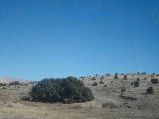 Finca rústica a Vélez - Rubio. Velez-rubio (almería). paraje "campillo-lizarán".