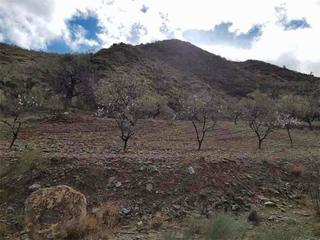 Propriété à Albánchez. Albanchez (almería). paraje "chacón".