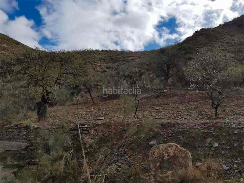 Foto c6e2f0e4-0761-47c5-9f90-37b8ead403c6. Finca rústica a Albánchez