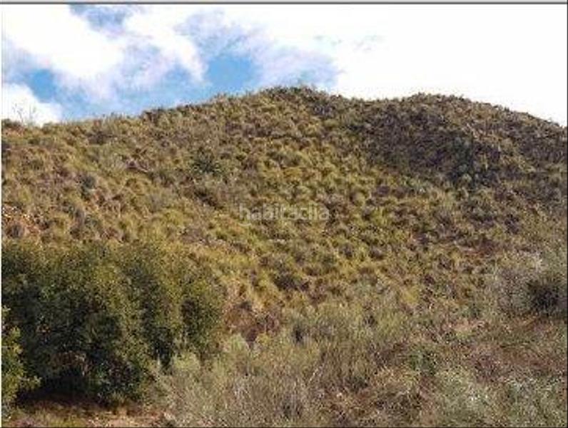 Foto cfb4084b-eccd-4c28-876e-ec8ecdcd24f3. Finca rústica a Albánchez
