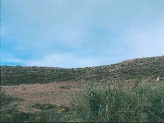 Finca rústica a Berja. Berja (almería). paraje rincón. polígono 15.