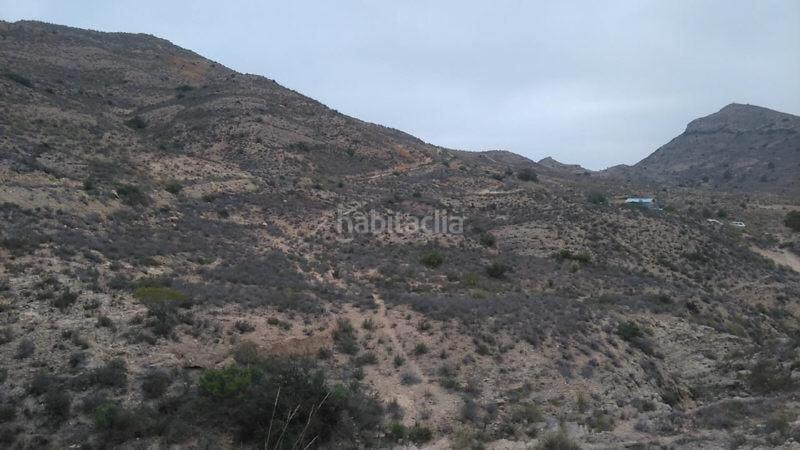 Foto a1e4dd79-0e2e-4d10-96c9-fbdcf134cdef. Finca rústica (alicante). en Valle del Sol Mutxamel