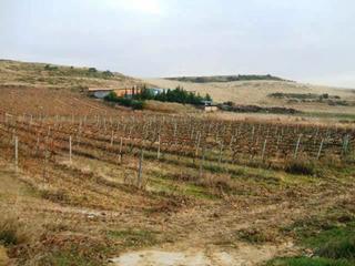 Finca rústica a Laguardia. Laguardia (álava). paraje "el gancho".