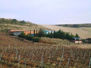 Landgut in Laguardia. Laguardia (álava). paraje "el gancho".