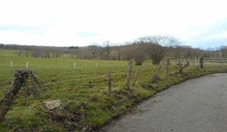Terreny residencial  Aldea paraes. Nava (asturias). paraje "finca cantón". polígono 39. paraes.