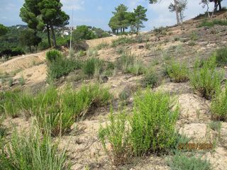 Terreno residencial en Avinguda Sant Daniel