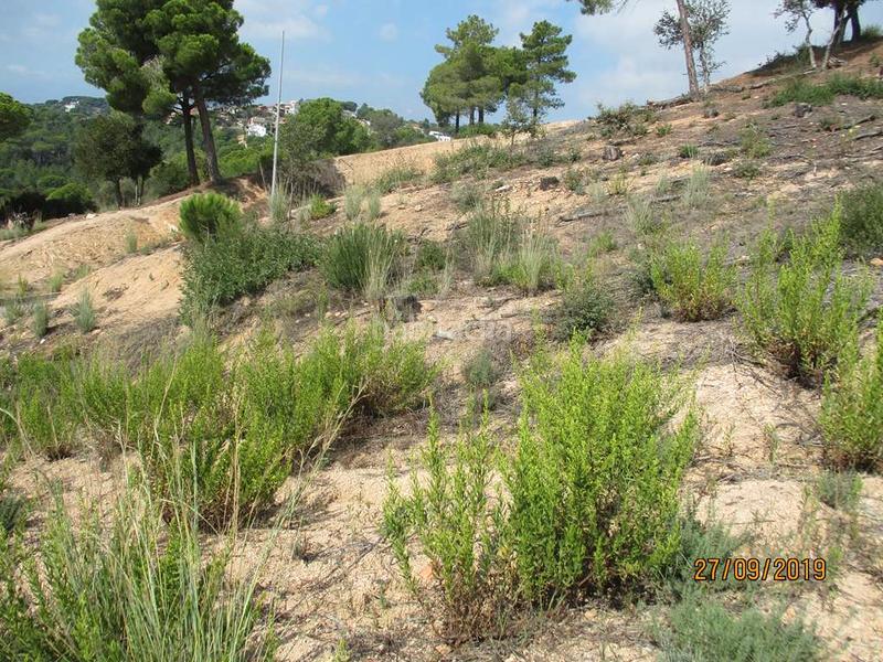 Foto 0e4751c2-dc79-4cec-abcf-fa5d5b1310ca. Terreno residenziale in Mas Mora-Sant Daniel Tordera
