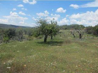 Finca rústica a Castrillo del Val. Covarrubias (burgos).