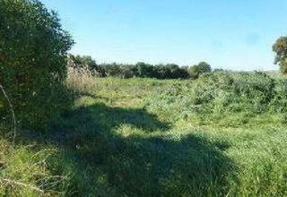 Finca rústica  Avenida de atalaya. Sanlúcar de barrameda (cádiz). paraje "pago atalaya". polígono 9