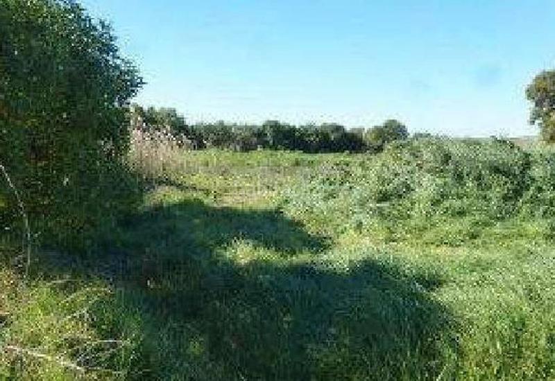 Foto a14e5e37-eba2-432a-91bd-cf31bcd26e8a. Finca rústica (cádiz). paraje "pago atalaya". polígono 9. en Sanlúcar de Barrameda