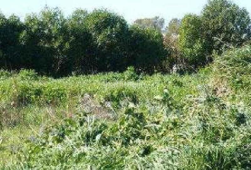 Foto ad95f544-8057-4359-8821-aee04e859a36. Finca rústica (cádiz). paraje "pago atalaya". polígono 9. en Sanlúcar de Barrameda