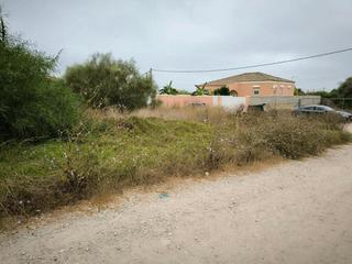 Finca rústica a Cuatro Pinos - El Carmen. Puerto de santa maría, el (cádiz). paraje "la negra".
