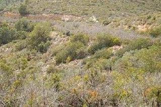Finca rústica a Cabanes. Cabanes (castellón). paraje "racó cervo", localizada en los polí