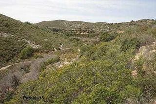 Landgut in Cabanes. Cabanes (castellón). paraje "racó cervo", localizada en los polí