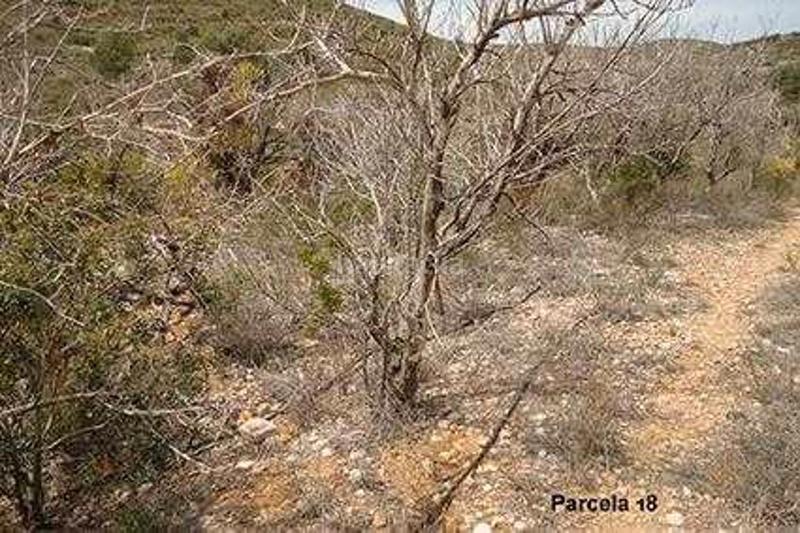 Foto 3e5d089c-00ef-494f-bd2a-21b42795adeb. Finca rústica (castellón). paraje "racó cervo", localizada en los polígonos 3 y 5 en Cabanes