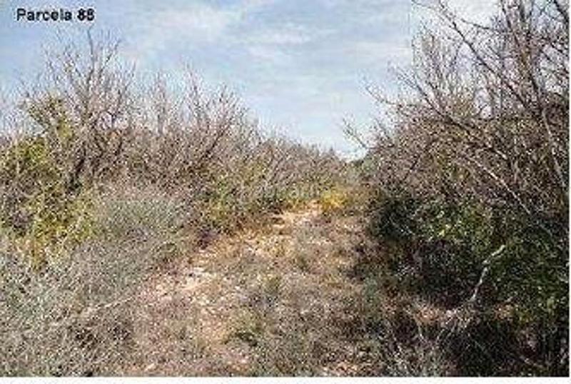 Foto 56c6858f-badf-4ea7-8214-f02e847983ea. Finca rústica (castellón). paraje "racó cervo", localizada en los polígonos 3 y 5 en Cabanes