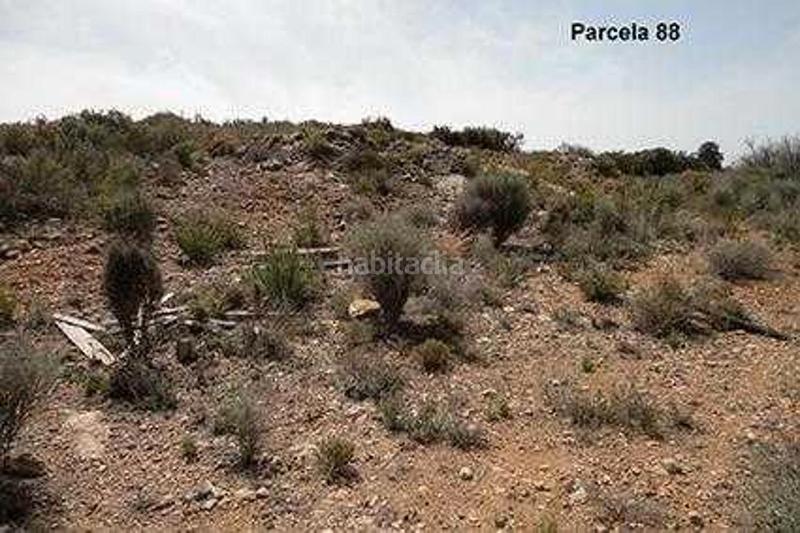 Foto 5cc6555a-0407-4d79-a5bc-30951aaa1973. Finca rústica (castellón). paraje "racó cervo", localizada en los polígonos 3 y 5 en Cabanes