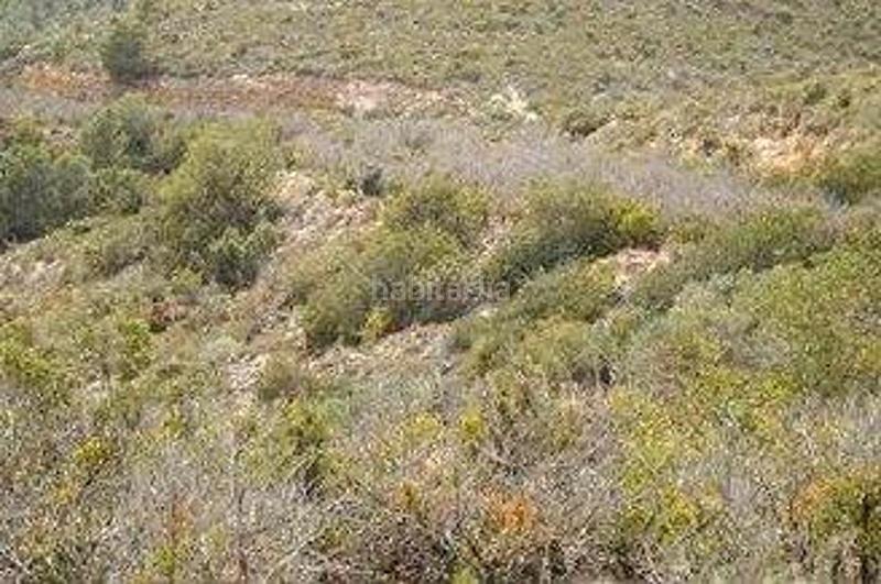 Foto 6f84c712-657d-4ee5-826b-fbbef21b2f4e. Finca rústica (castellón). paraje "racó cervo", localizada en los polígonos 3 y 5 en Cabanes